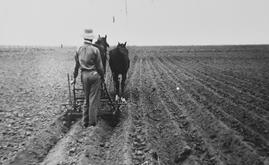 Trabajador del campo argentino