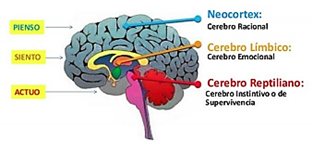 Diagrama

Descripción generada automáticamente