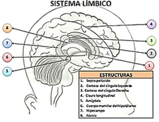 Diagrama

Descripción generada automáticamente